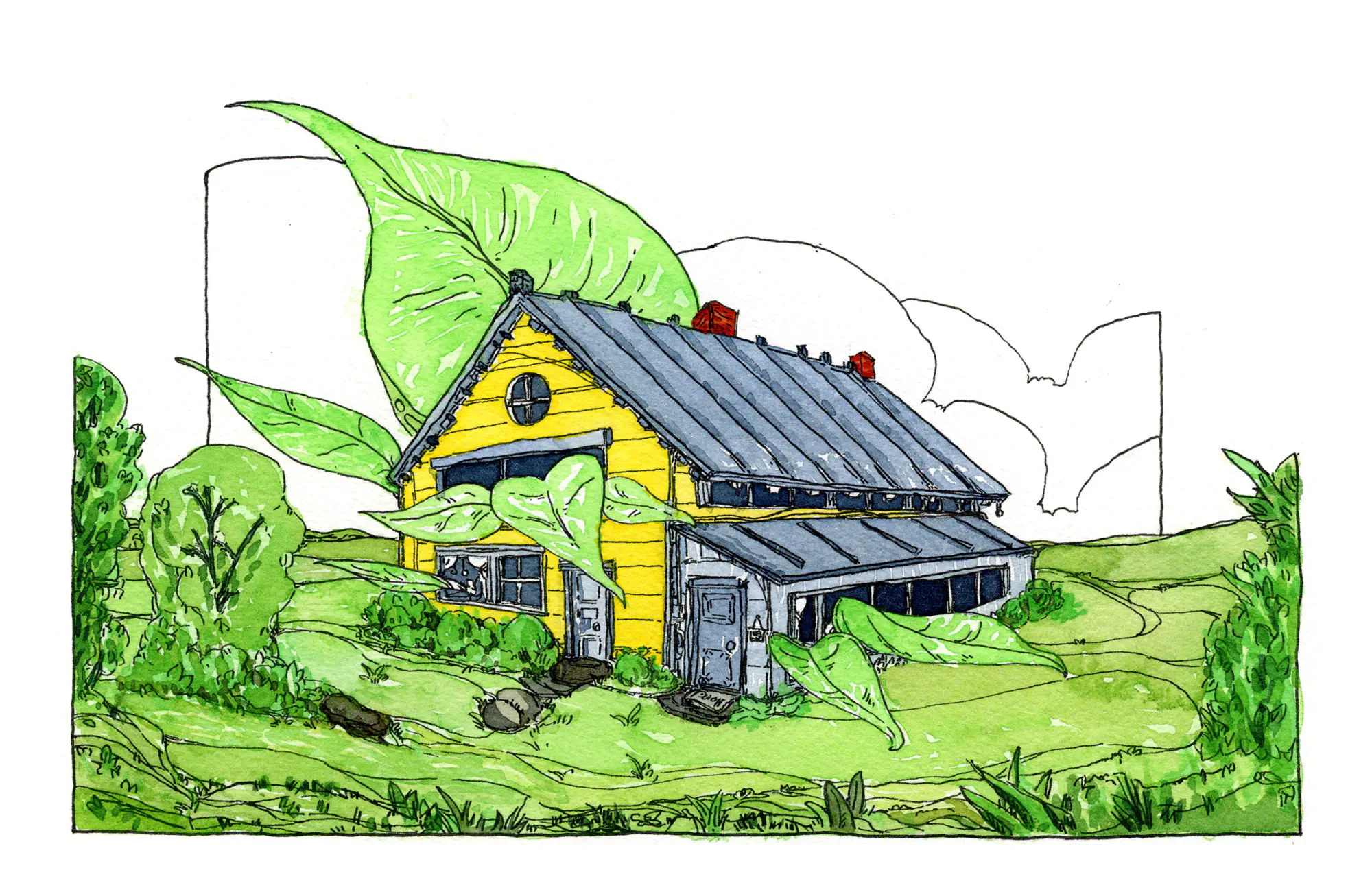 A lovely overgrown home for plants.