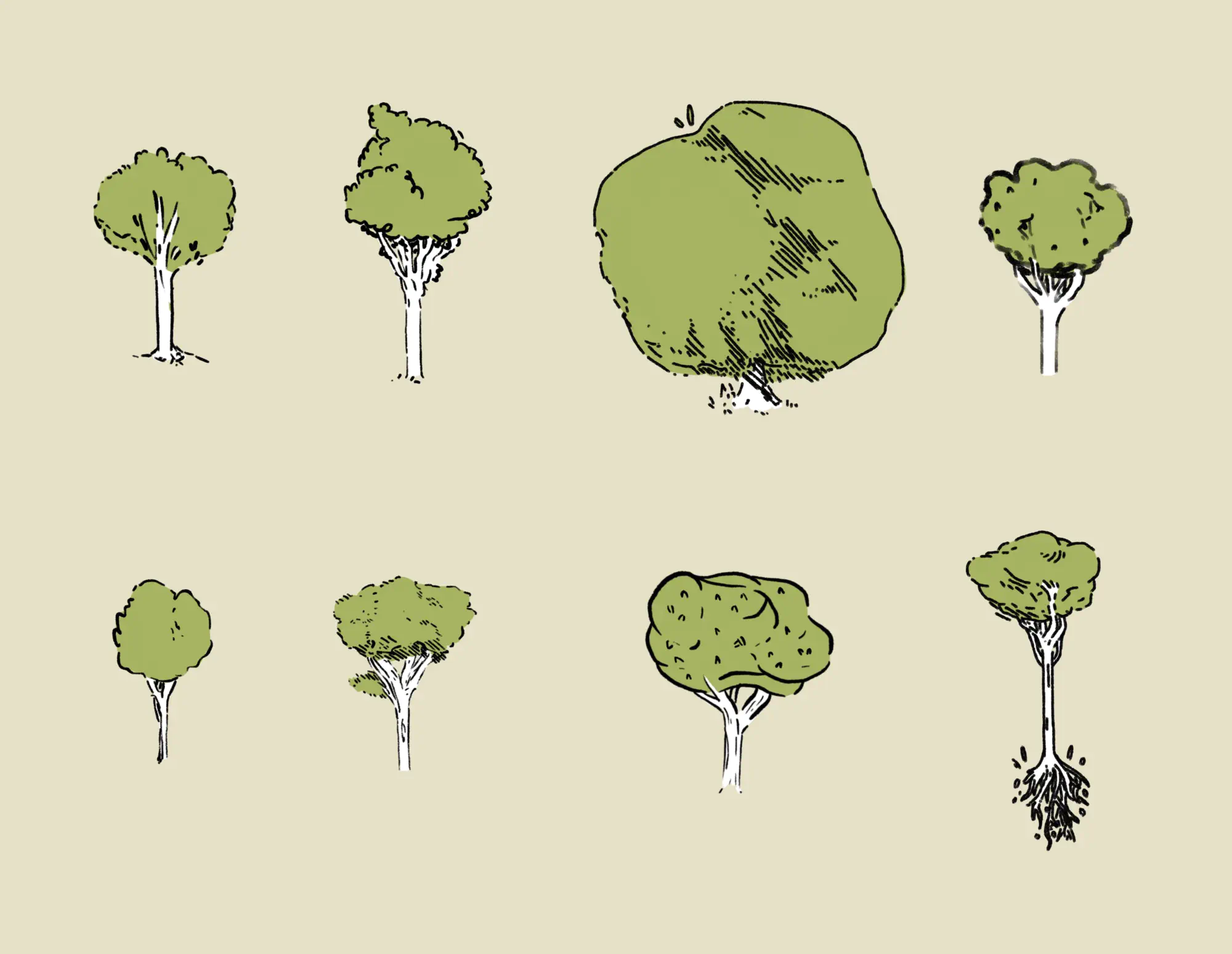  No matter growing up around the forest, I still think there are a million ways to draw a tree.
 