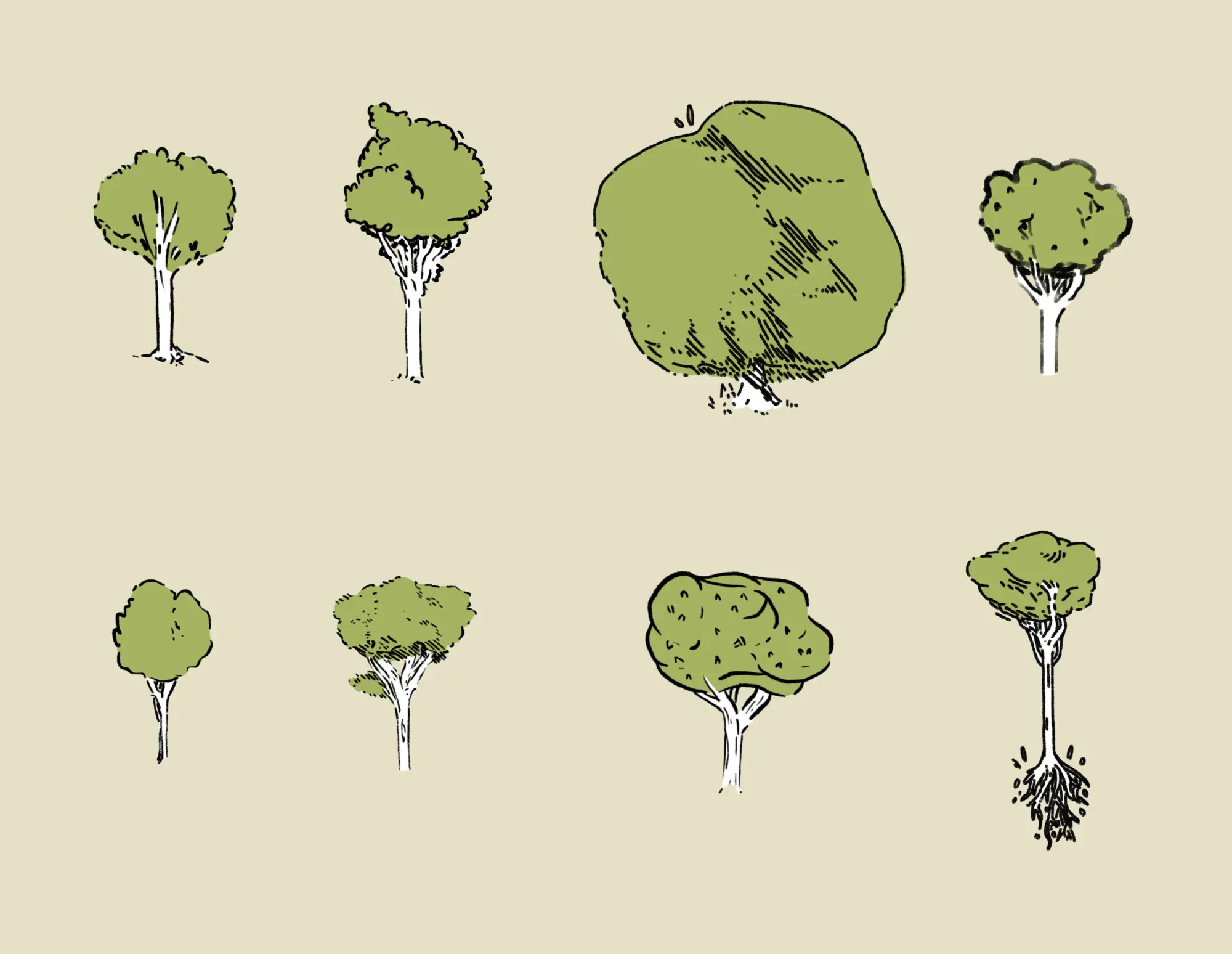 No matter growing up around the forest, I still think there are a million ways to draw a tree.